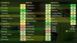 Which Football Manager Attributes Actually Matter?