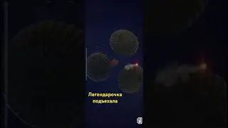 Кейсы надо крутить каждый день