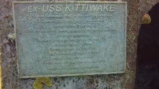 Kittiwake 2016 - Raw and Uncut Scuba Diving in Grand Cayman