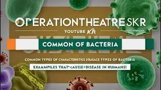 Common Type Of Bacteria , Characteristics , Bacteria Disease Causing Human Being ?