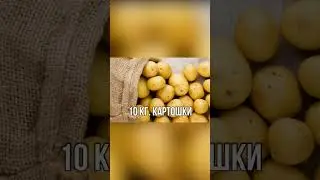Что можно было купить в СССР на 1 рубль