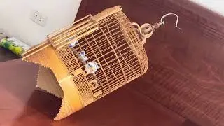Lồng mi rất đẹp ( ĐÃ NHẬN XIỀN KHÁCH ). DĐ: 0908070555 Hà Nội. Có thể sip.
