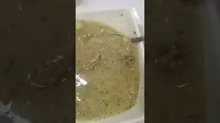 sopa de colisero