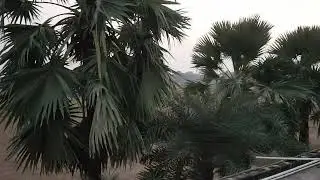 Final de tarde Bodhgaya Índia
