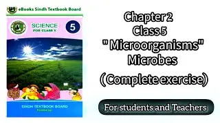 microorganisms class 5 | chapter 2 | chapter 2#fypシ゚viral #microorganisms under microscope #science5
