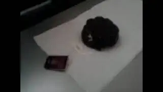 Сырок ebet чайный пакет