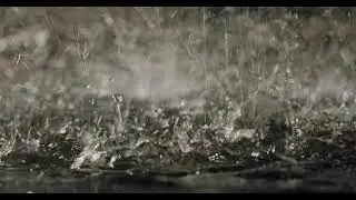 Splatters Of Water In The Ground - Free Stock Resources
