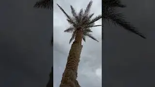 Жэка снайпер класса 007