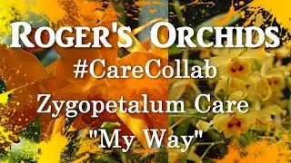 #CareCollab