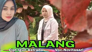 LAGU JAMBI || MALANG || NOVITASARI || Official video musik