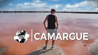 Documentaire France : Les Secrets de la Camargue