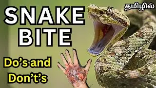 SNAKE BITE | Do’s and Don’t’s | TAMIL #trending #viral #viralvideo #video #trendingvideo #snakebite