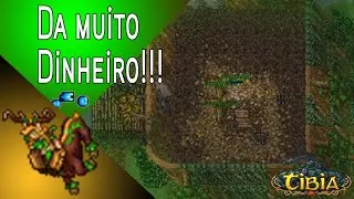 Farmando muito em low level Free account no global #Forest Fury #Dica #Tutorial #EliteKnight #Tibia