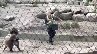 Diergaarde Blijdorp