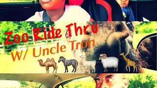 🐮🦓🐃🦒🐫Tupelo Buffalo Park/Zoo Drive Thru