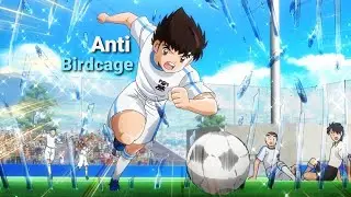 Online Advanced Guide: Stopping Birdcage