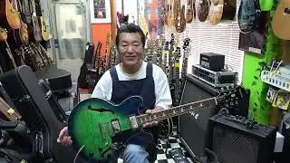 Epiphone  ES-335 pro  limited edition  2018年製 希少イグアナバースト！