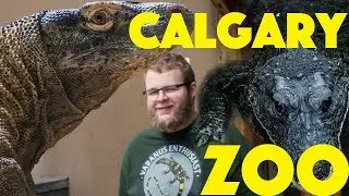 LARGEST LIZARD in the WORLD!!