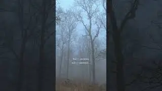 МНЕ БЕЗ ТЕБЯ ТАК ТРУДНО ЖИТЬ (Н. Коржавин) читает М.Макаревич #love #viral #life