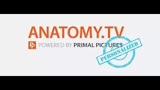 Personal Profile   creating    Primal Pictures