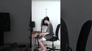 演奏してみた 