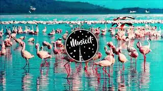 Low - Lenny Kravitz | SE Ninio De Bedio | HQ