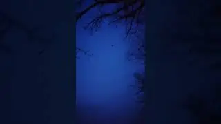 фото охота на вальдшнепа