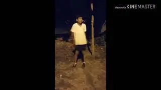 Baile 2018  - Sonido del perro llorando