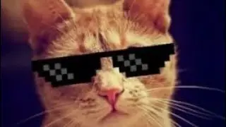 Котанец вернулся)))