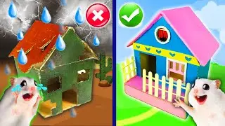 Hamster DIY Colored Playhouse Cardboard in Maze with Traps