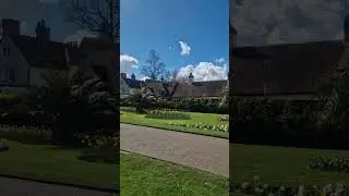 Flowers started coming in England. 🏴󠁧󠁢󠁥󠁮󠁧󠁿 #90ssong #90severgreen #uditnarayan #alkayagnik #90s