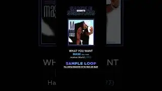 What You Want - Ma$e (Original Sample Loop)