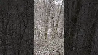 Чудесный ❄️ Зимний 