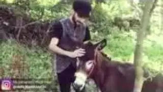 Хар бор ин харо