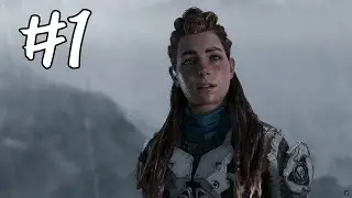 Horizon Forbidden West #1