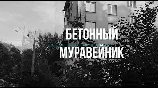 Остросоциальная драма, короткометражное кино, артхаус 
