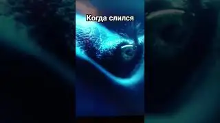 Когда слился 