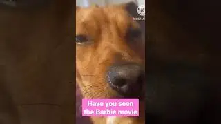 Have you seen the barbie movie 