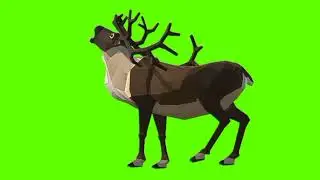 Green screen Barasengha video | Barasengha Barasengha attack green screen
