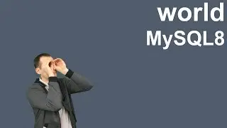 7. MySQL 8 - world database