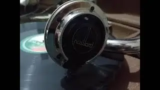 El Camalote - Abelardo Dimotta