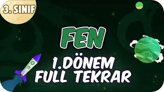 3. Sınıf Fen 1. Dönem Full Tekrar ♻ 
