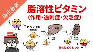 脂溶性ビタミン（作用・過剰症・欠乏症）