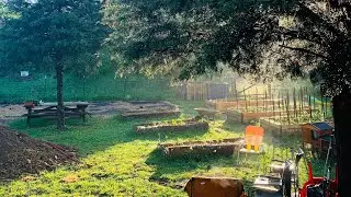 Garden Walk (Tour) Week 2 | the Good, The Bad, And The Ugly