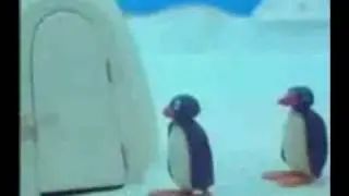 Pingu macht Problem