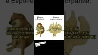 #мем #рекомендации #историческиемемы