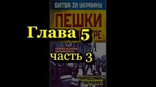 Мирослава Бердник. Пешки в чужой игре.  Глава 5. Часть 3. ... в оперативных играх спецслужб