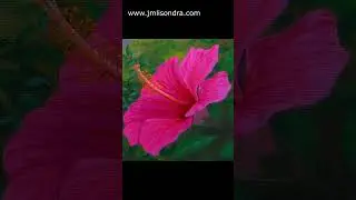 How to Paint Hibiscus Flower? / JMLisondra #painting #art #flower #artwork