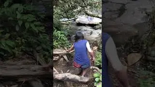 Down down down to the waterfall. #hiking #naturelovers #waterfall #waterfalls #outdoors #forest #fun