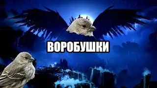 Ori and The Blind Forest ВОРОБУШЕК